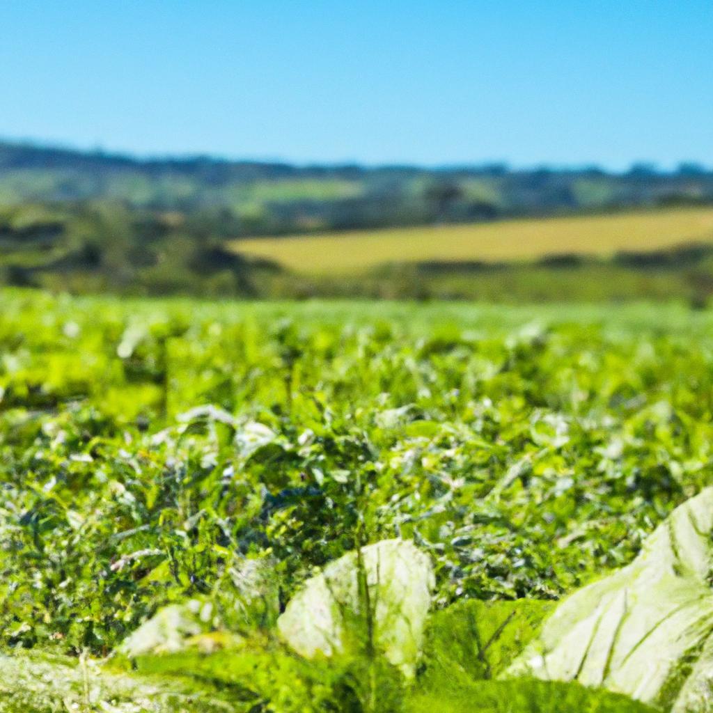 Produção Agrícola e Mudanças Climáticas
